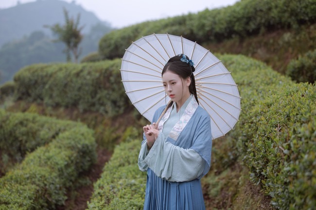 唯有山茶偏耐久，绿丛又放数枝红。