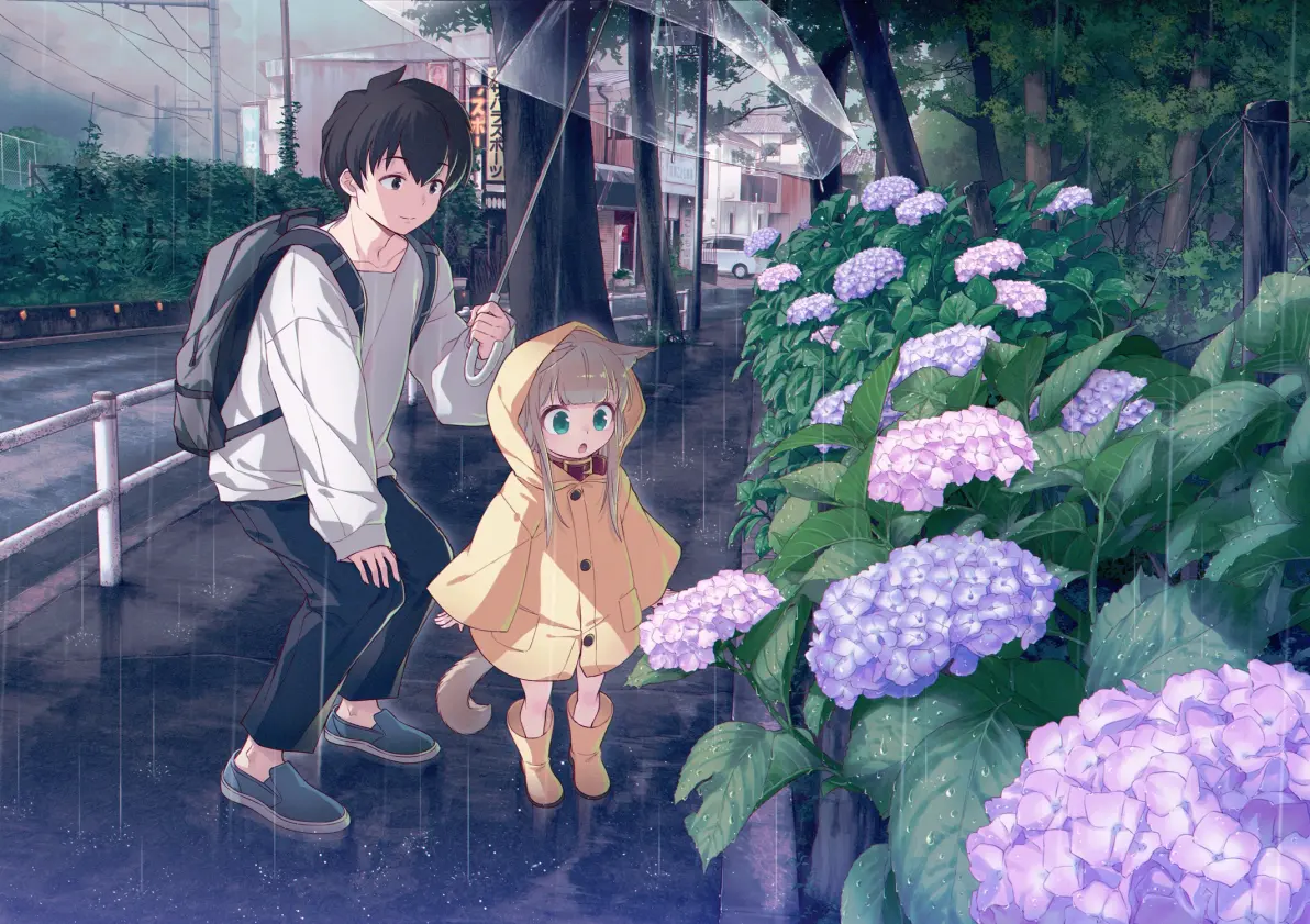 为雨景增色/绣球花插画特辑