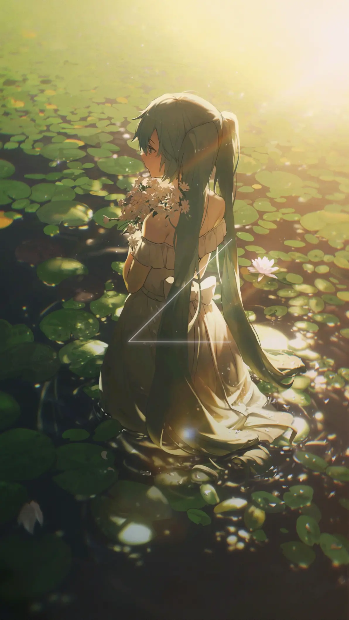 于水面绽放 – 睡莲及荷花插画特辑