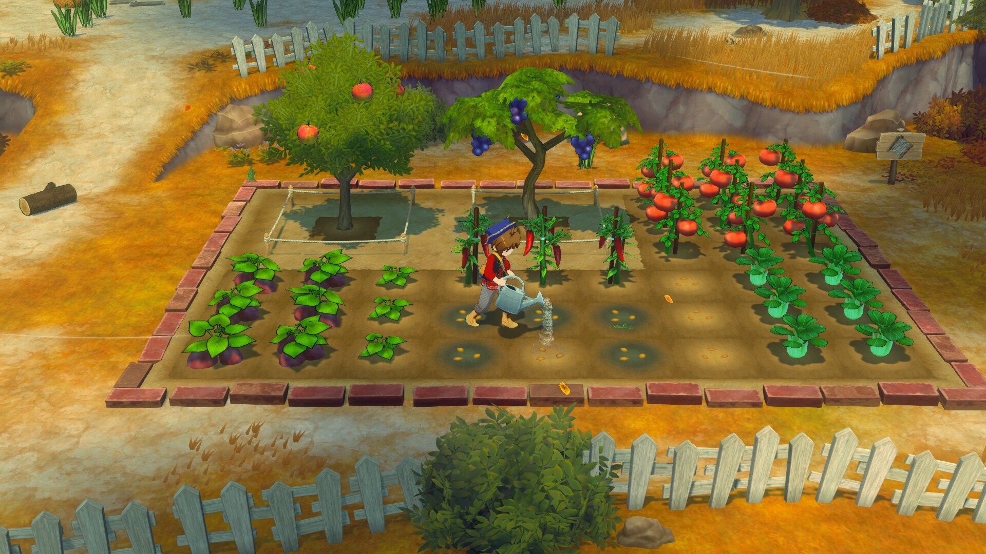 牧场物语 来吧！风之繁华集市/STORY OF SEASONS: Grand Bazaar
