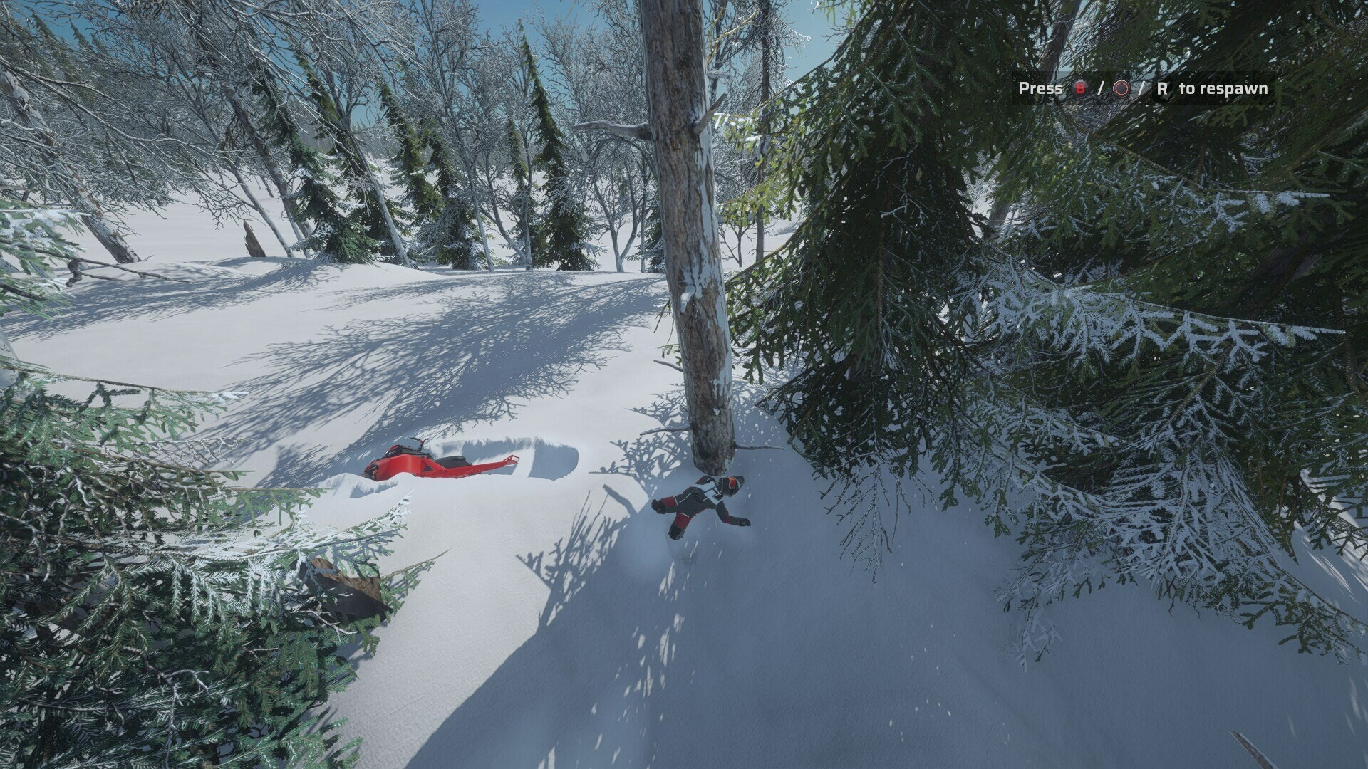 2025101700434016.jpg 雪橇手/Sledders