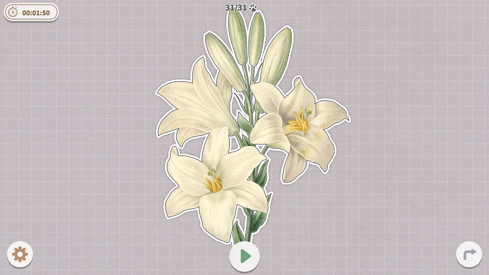 2025102211515516.jpg 挤在一起的植物/Plants Huddled Together