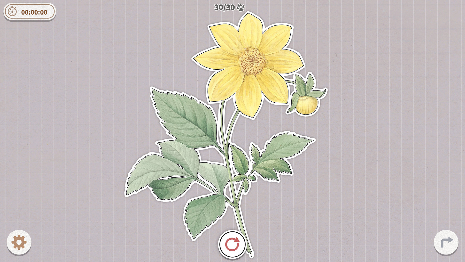 2025102211515556.jpg 挤在一起的植物/Plants Huddled Together