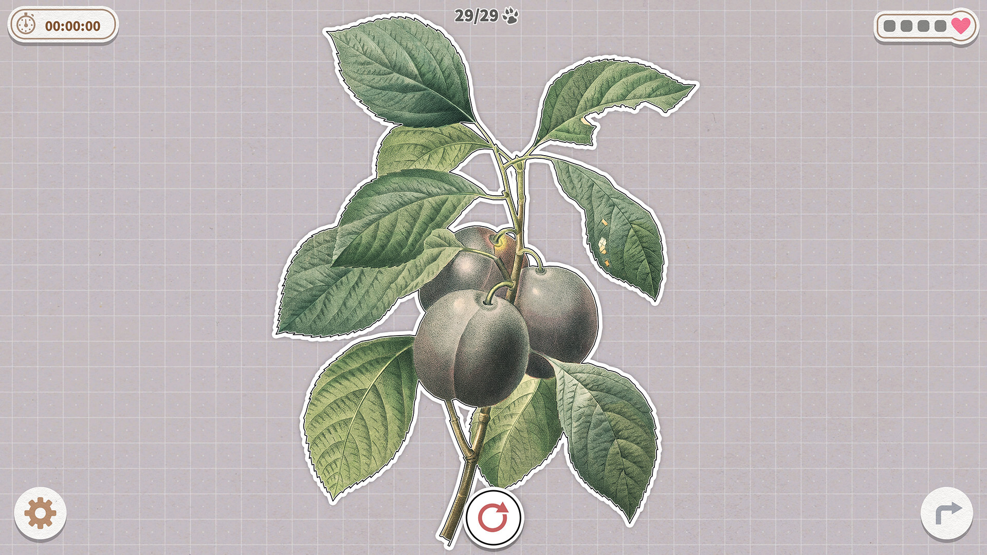 2025102211515558.jpg 挤在一起的植物/Plants Huddled Together