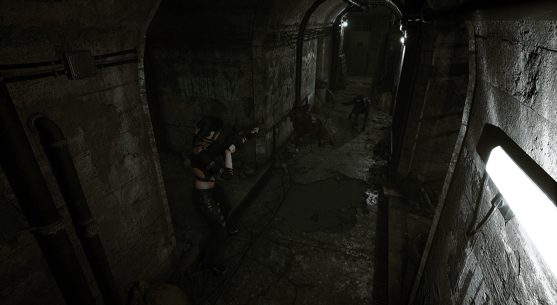 生者回响/Echoes of the Living