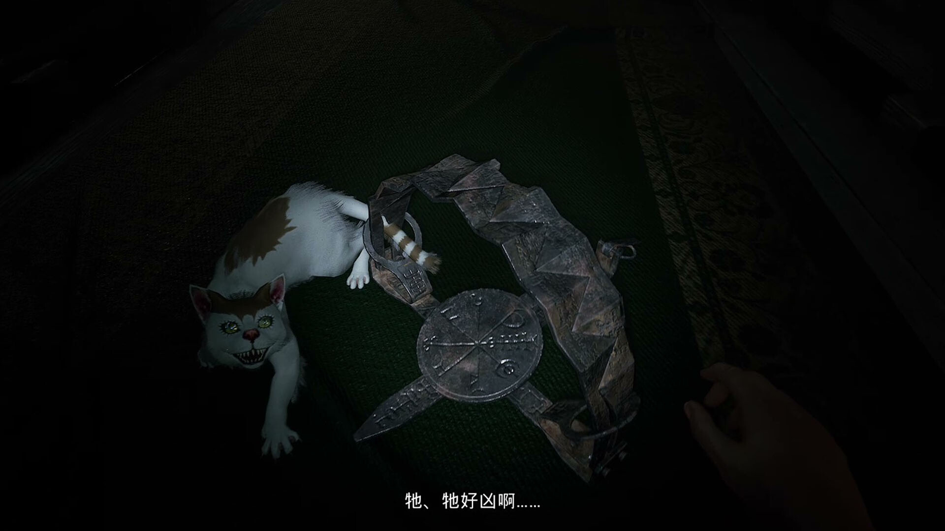 2025111500500589.jpg 伊藤润二狂热 : 无止的囹圄/Junji Ito Maniac: An Infinite Gaol