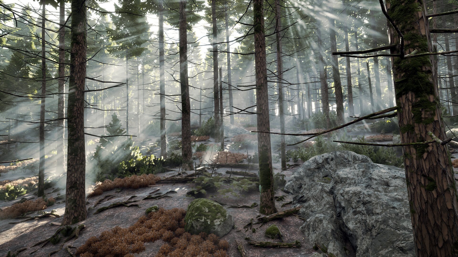 2025112214155555.jpg 序章:重返往昔!/Prologue: Go Wayback!