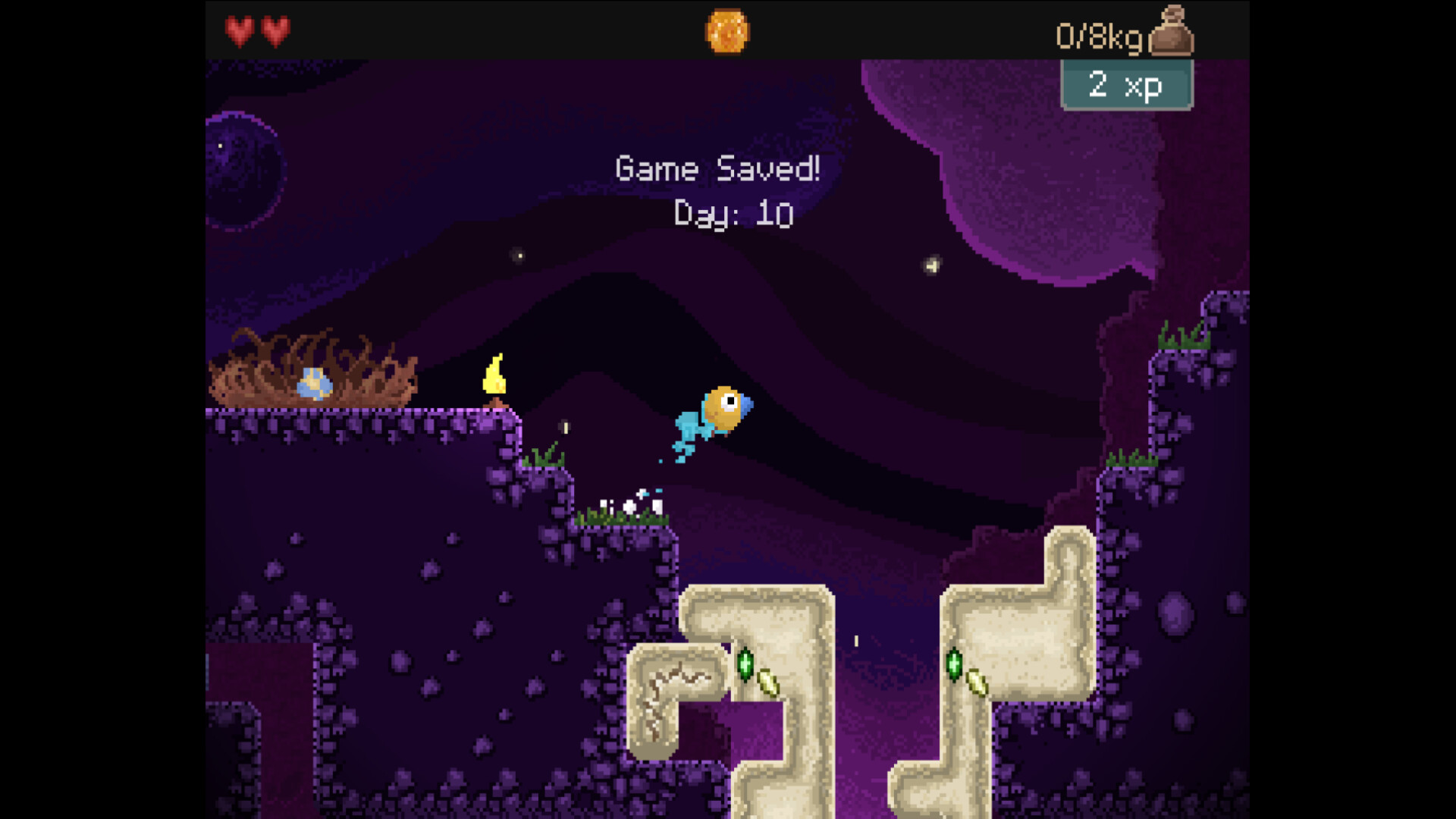 2025112805015518.jpg 钻头鸟/Drill Bird