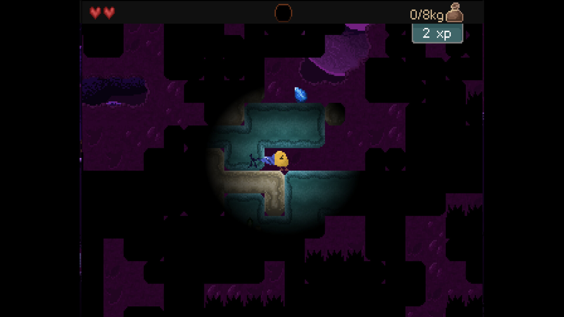 2025112805015522.jpg 钻头鸟/Drill Bird