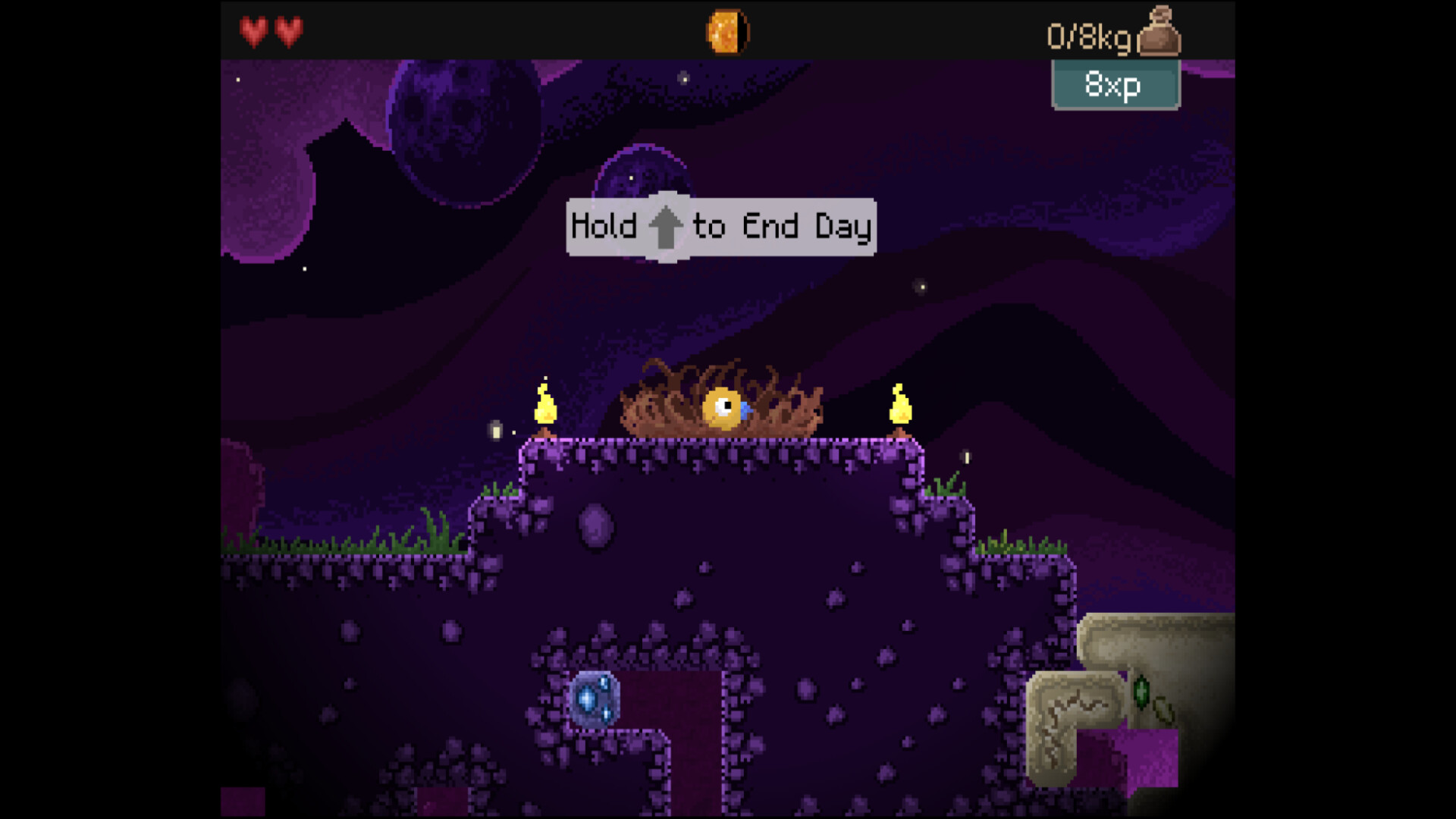 2025112805015543.jpg 钻头鸟/Drill Bird