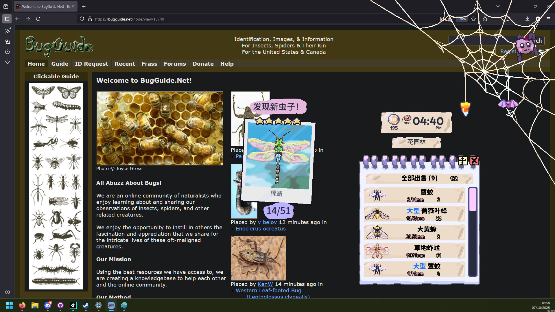 2025112914145850.jpg 我的小小蜘蛛/My Little Spider