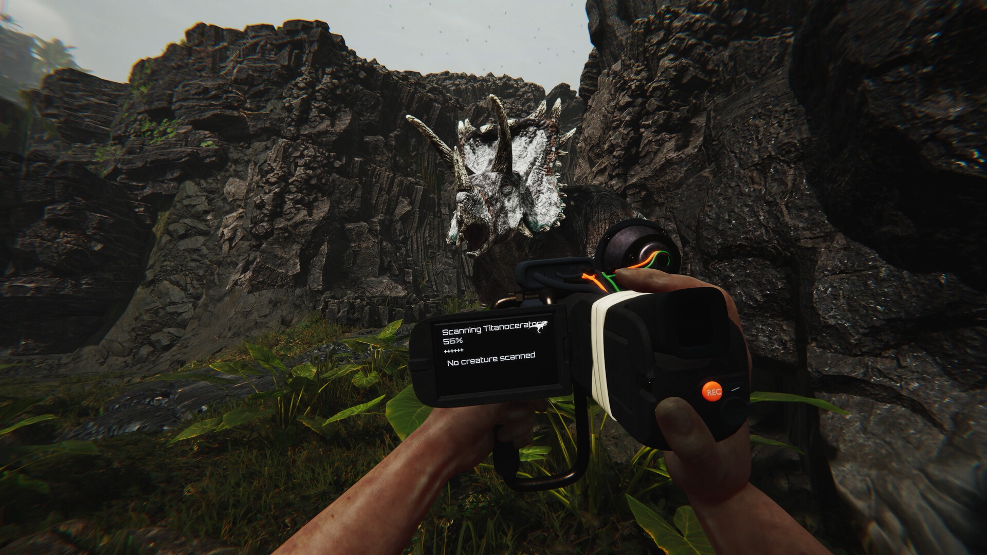 2025120600504847.jpg 蛮荒计划/FEROCIOUS