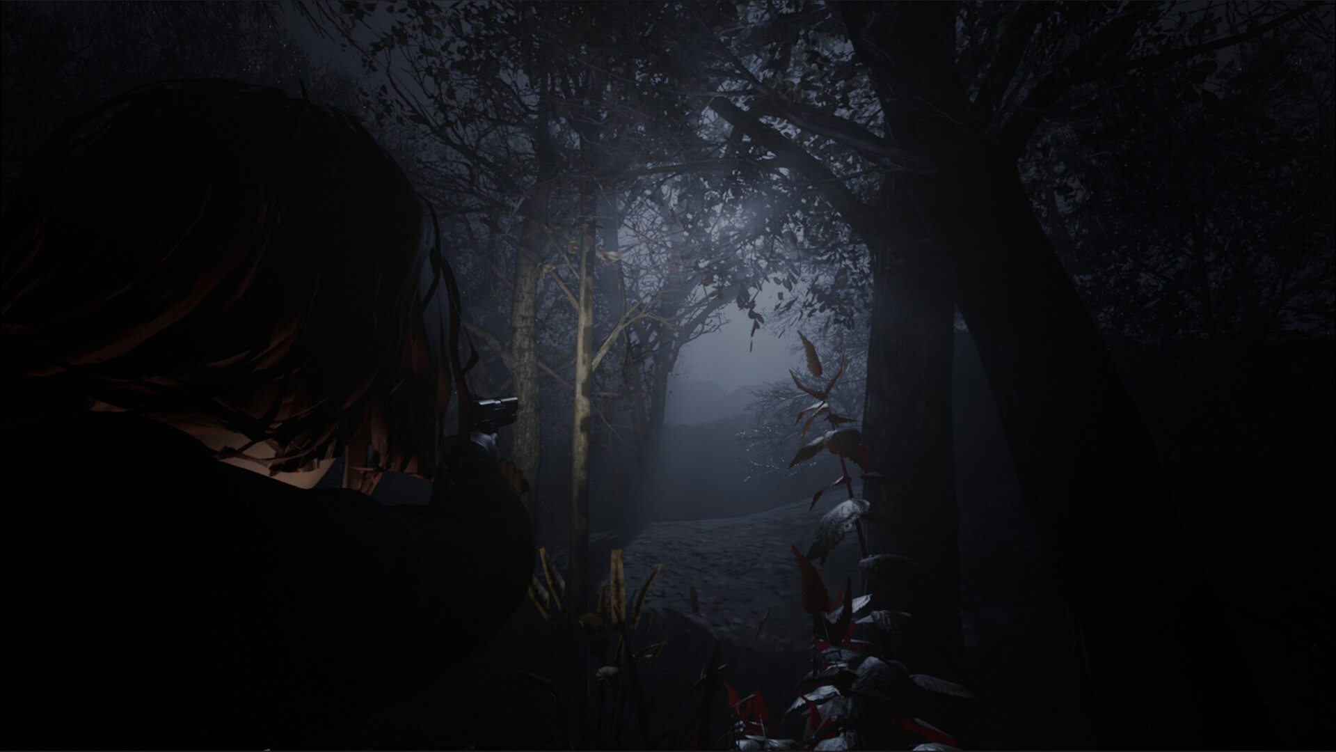 黎明教派/Cult of Dawn