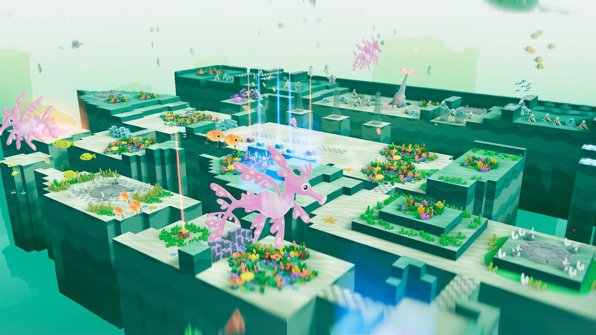 海参大作战/NAMAKORIUM 海参大作战/NAMAKORIUM