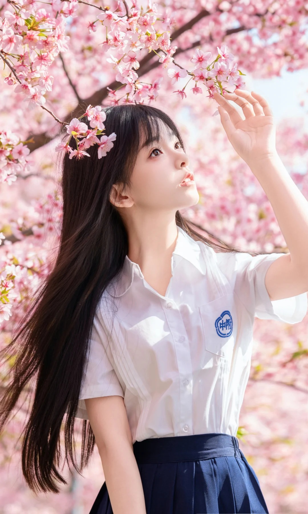 摄影图册｜风一吹，樱花和我都心动了