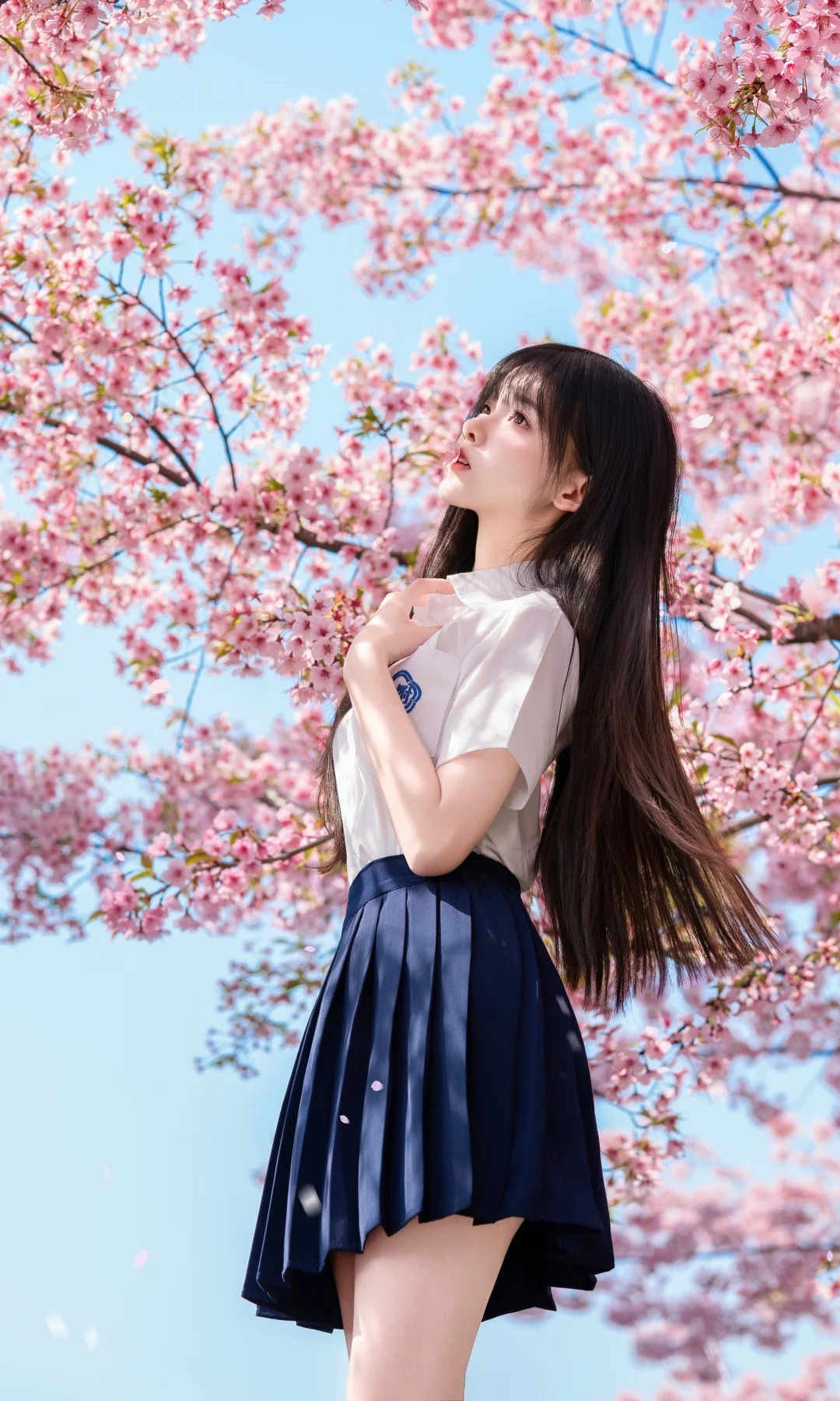 摄影图册｜风一吹，樱花和我都心动了