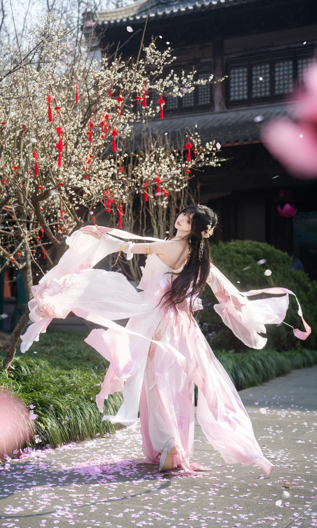 摄影图册｜一眼回眸，温柔了整个冬天