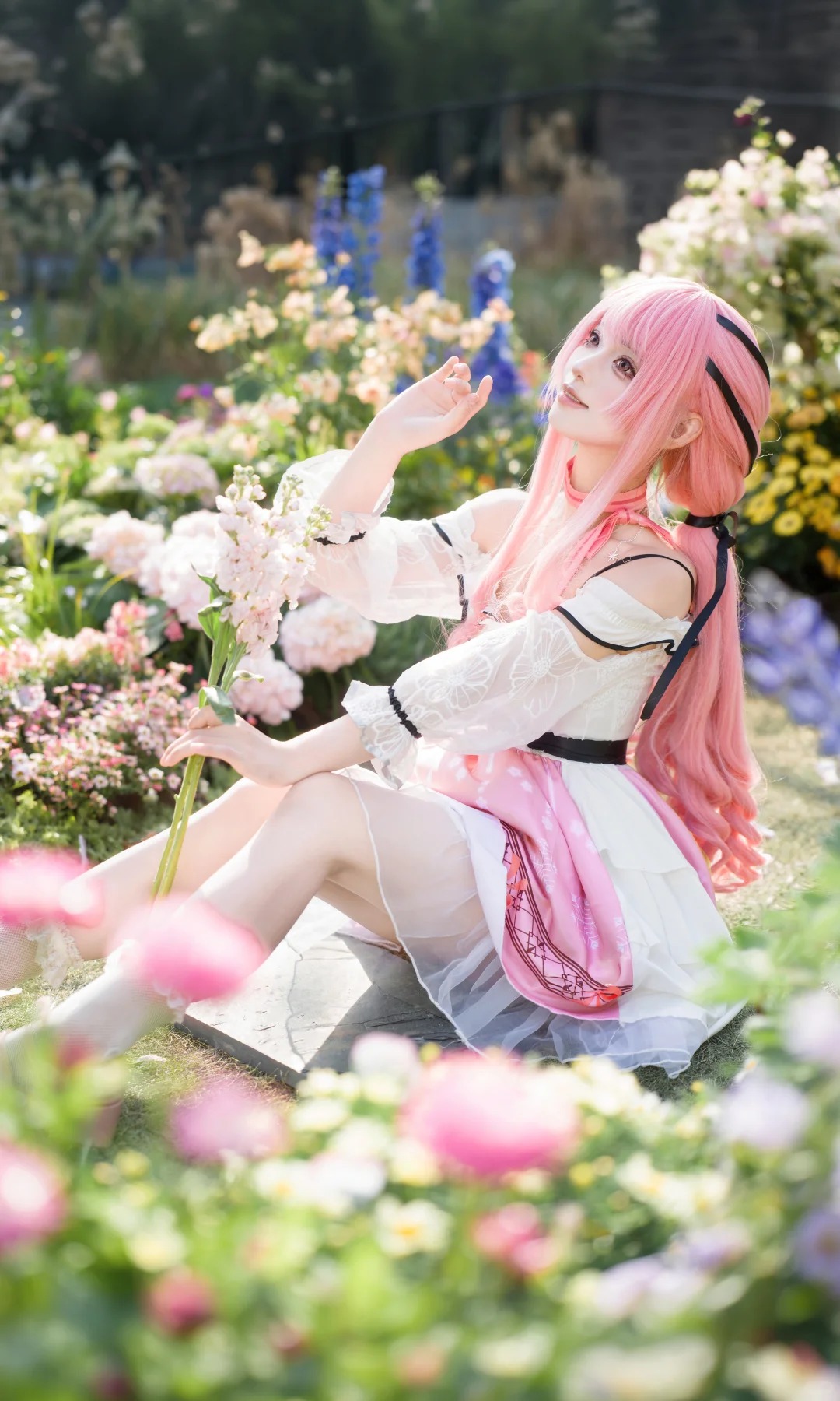 摄影图册｜暖暖的春风，遇见了甜甜的暖暖