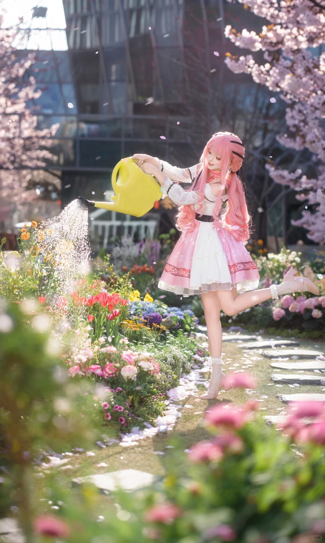 摄影图册｜暖暖的春风，遇见了甜甜的暖暖