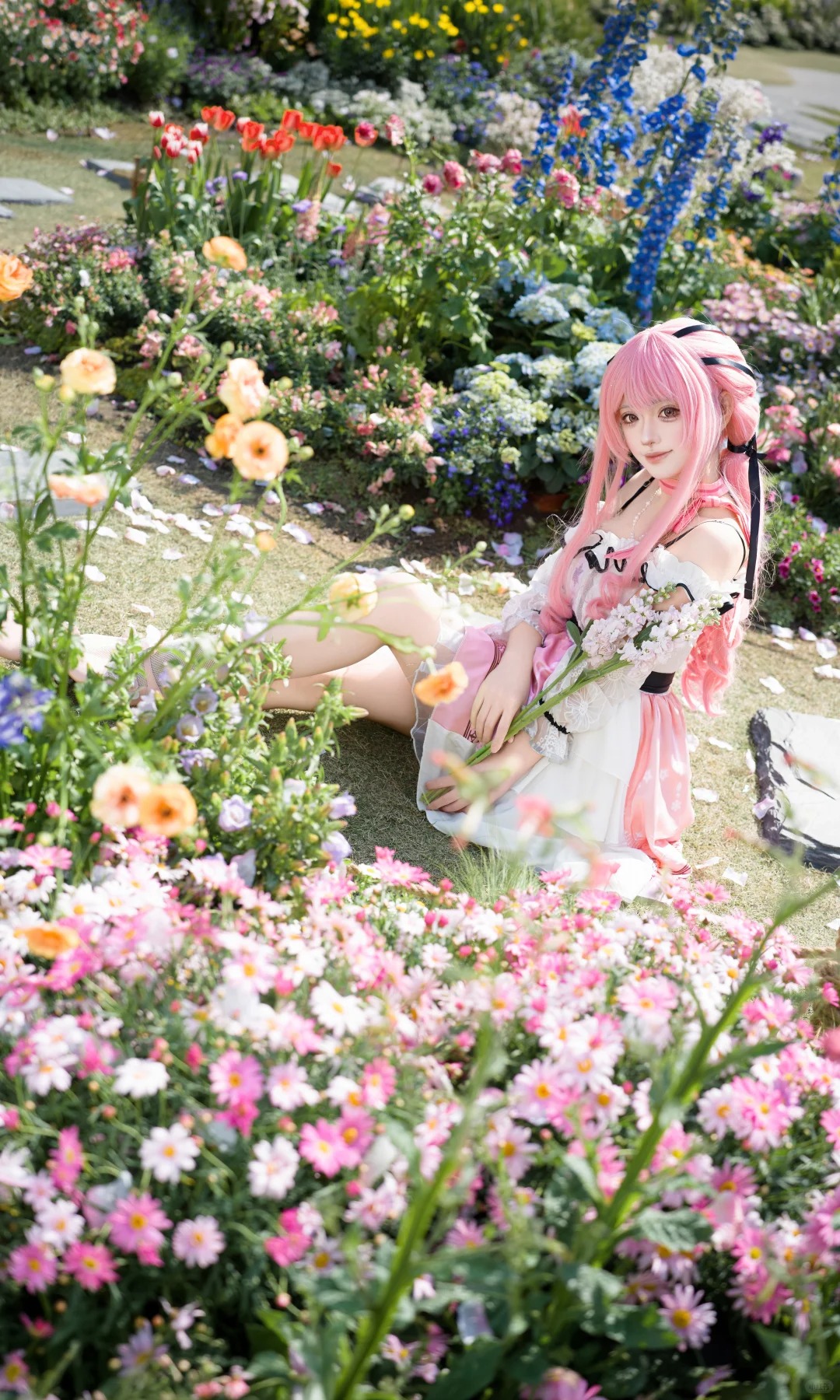 摄影图册｜暖暖的春风，遇见了甜甜的暖暖