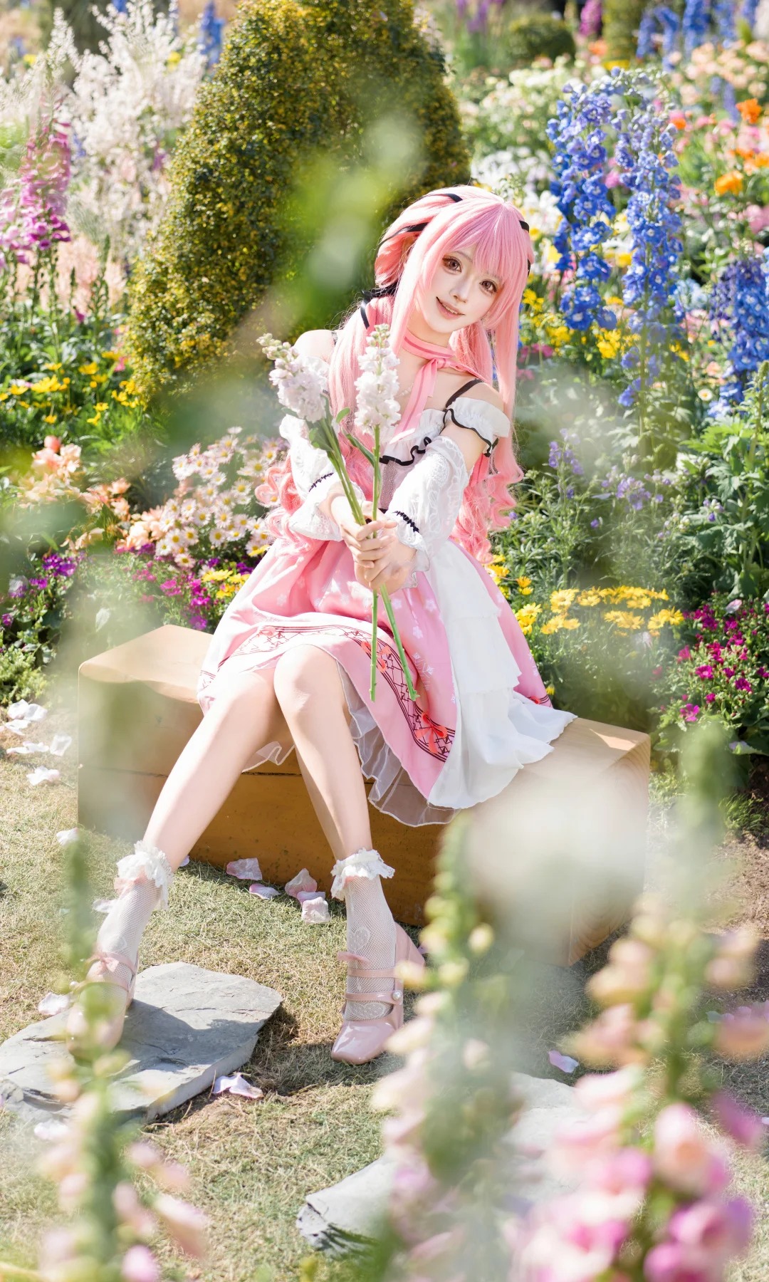 摄影图册｜暖暖的春风，遇见了甜甜的暖暖