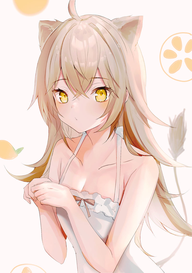 人气画师兼vtuber”Rurudo Lion(Rurudo 小狮子)”的高清角色图包