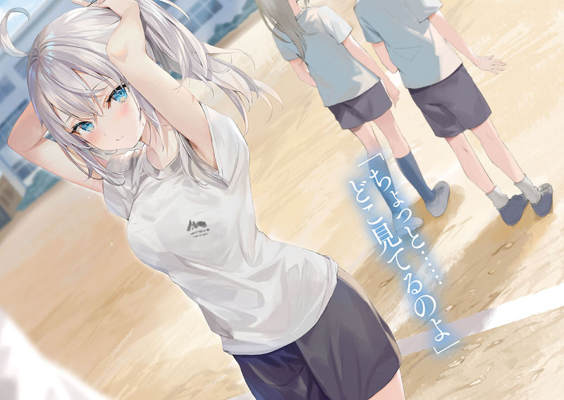 画师ももこ(Momoco)的轻小说里话共13卷轻小说插图包