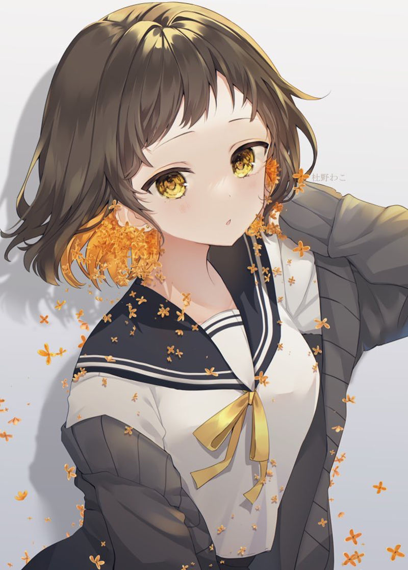 画师杜野わこ(wako_morino_0)的pixiv+Bluesky+twitter(x)图片包