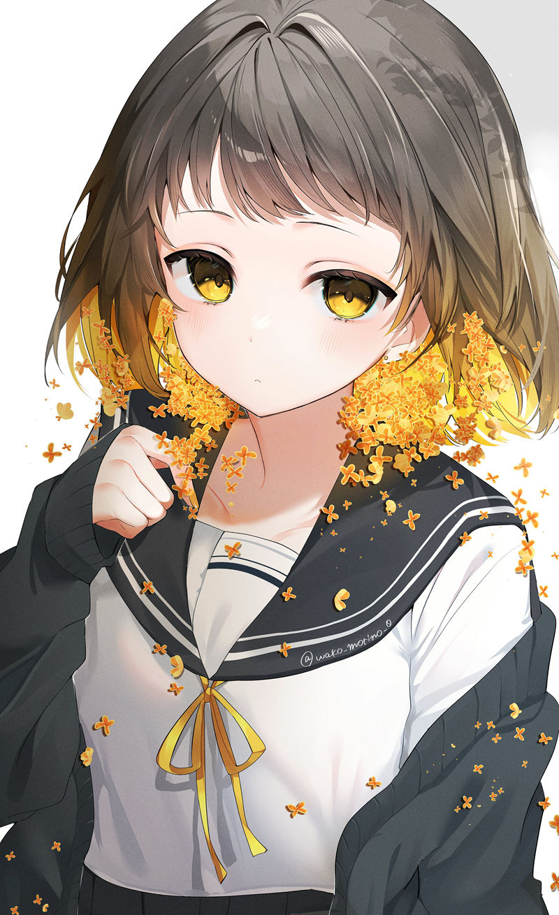 画师杜野わこ(wako_morino_0)的pixiv+Bluesky+twitter(x)图片包