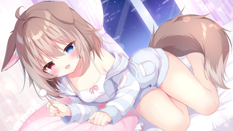 画师ねこぼしゆき(nekoboshi_yuki)的pixiv+twitter(x)图片包