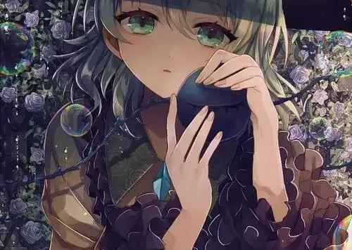 WordPress侧边栏添加天气组件