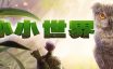 小小世界：荒野求生/Smalland: Survive the Wilds|官方简体中文