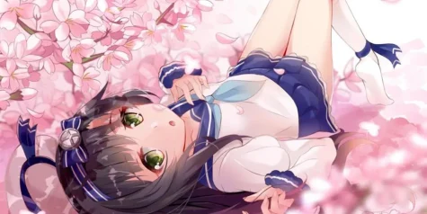 宝塔Linux面板一键迁移网站-Windows面板快速迁移网站