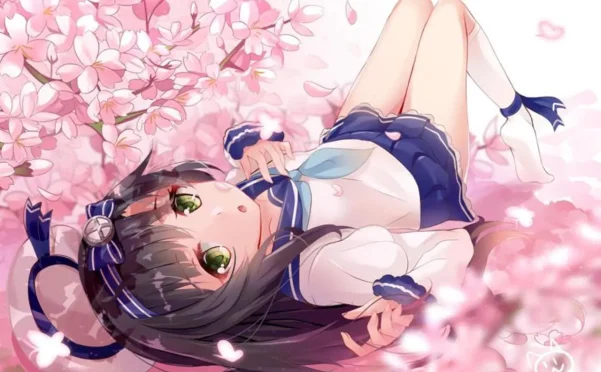 宝塔Linux面板一键迁移网站-Windows面板快速迁移网站