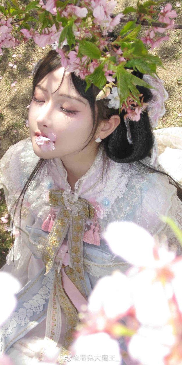 我们不是春日限定，我们是来日方长