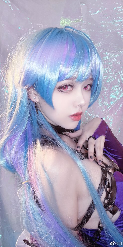 巷子里的猫很自由，却没有归宿