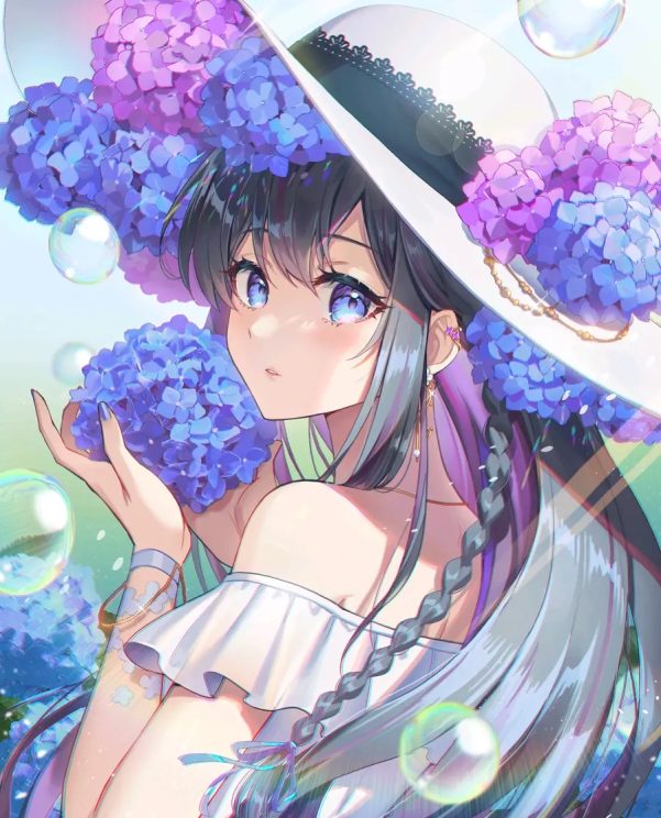 为雨景增色/绣球花插画特辑