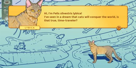 塔楼满是猫/A Tower Full of Cats