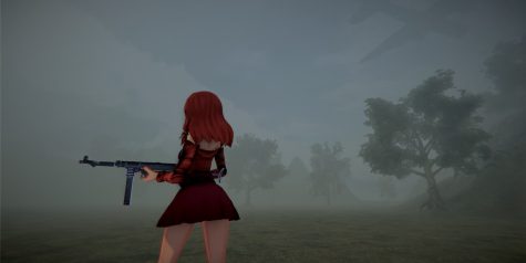 希特勒是我的梦中情人 爱情与法西斯主义/Hitler is My Crush: Love and Fascism