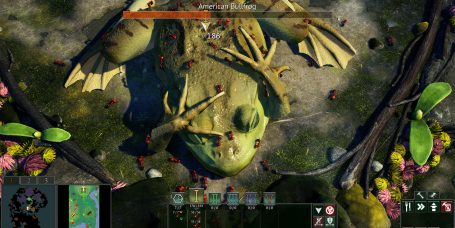 地下蚁国/Empires of the Undergrowth