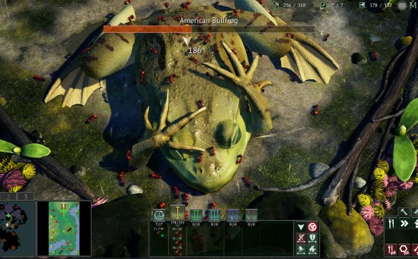 地下蚁国/Empires of the Undergrowth