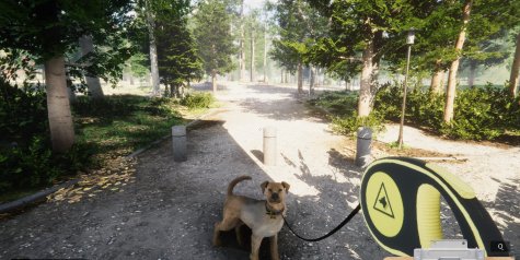 动物收容所/Animal Shelter|官方简体中文|支持键盘.鼠标