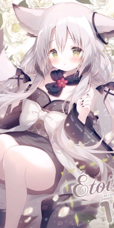 画师しらたま[しらたまこ]Étoile 12（Shiratama、白玉）画集图片包