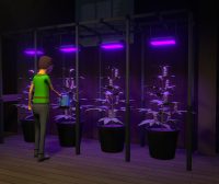 绝命毒师模拟器/Schedule I/支持网络联机