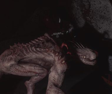 SCP：大流行病/SCP: 5K/支持网络联机