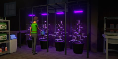 绝命毒师模拟器/Schedule I/支持网络联机