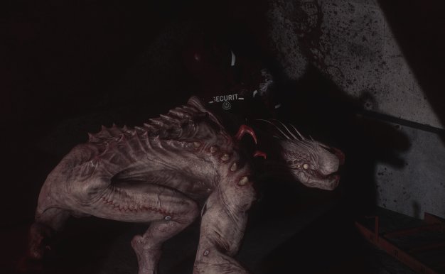 SCP：大流行病/SCP: 5K/支持网络联机