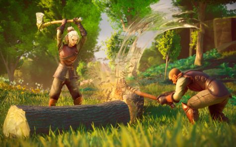 符文世界：龙之荒野/RuneScape: Dragonwilds/支持网络联机