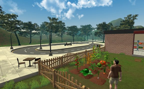 农场与超市模拟器/Farming & Supermarket Simulator