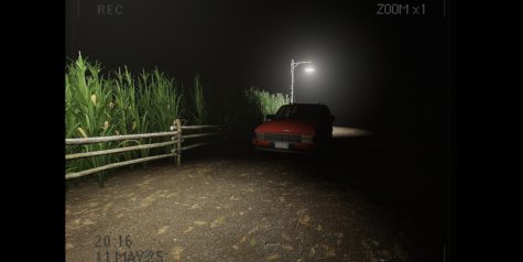 莉莉出了什么事？/What Happened to Lily?